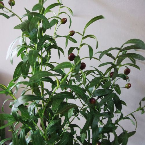 Realistic 120cm Artificial Olive Tree - Customizable & Stunning Décor Piece - plants - express.com
