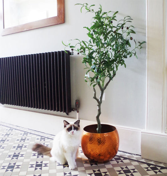Realistic 120cm Artificial Olive Tree - Customizable & Stunning Décor Piece - plants - express.com