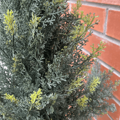 Realistic 120cm Cedar Topiary Tree - Maintenance - Free Year - Round Greenery - plants - express.com