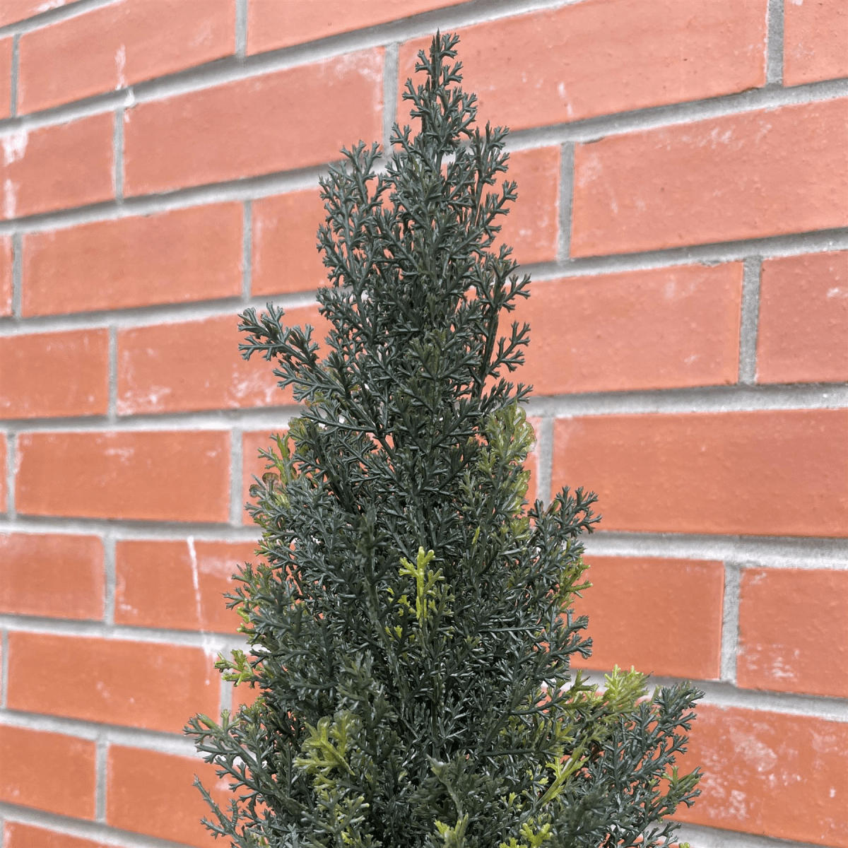 Realistic 120cm Cedar Topiary Tree - Maintenance - Free Year - Round Greenery - plants - express.com