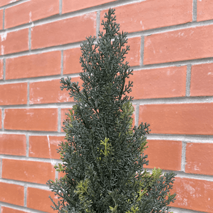 Realistic 120cm Cedar Topiary Tree - Maintenance - Free Year - Round Greenery - plants - express.com