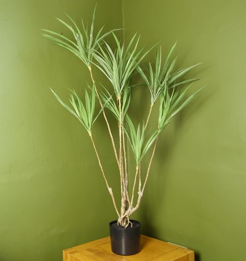 Realistic 125cm Dracaena Dragon Plant - Stunning Artificial Tree for Any Space - plants - express.com