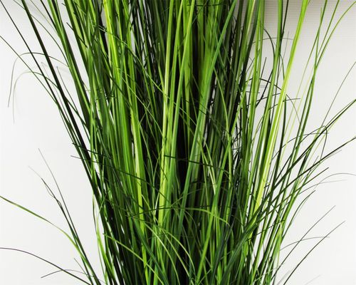 Realistic 130cm Artificial Onion Grass - Perfect for Any Home Decor! - plants - express.com
