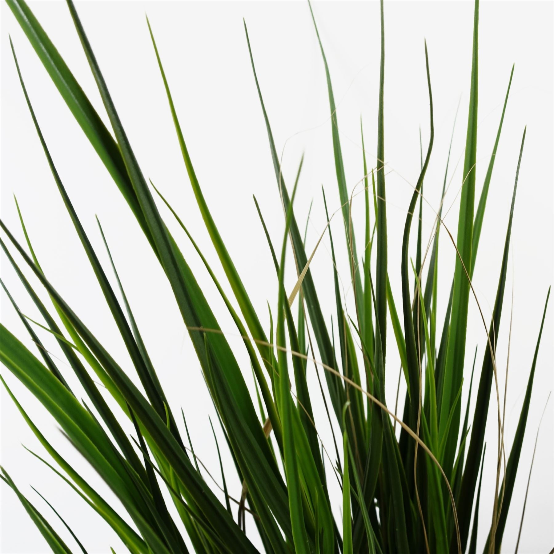 Realistic 130cm UV - Resistant Artificial Grass for Stunning Outdoor Decor - plants - express.com
