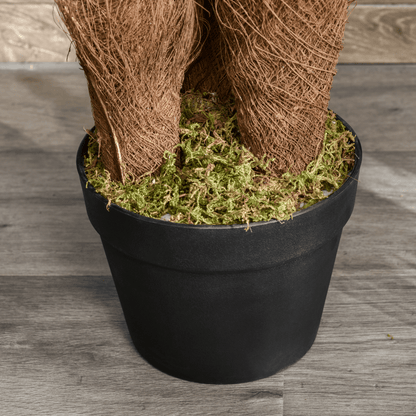 Realistic 150cm Artificial Fern Tree with 36 Leaves & Cement Pot - No Upkeep! - plants - express.com