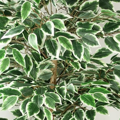 Realistic 150cm Artificial Ficus Tree with 1008 Lush Silk Leaves - plants - express.com