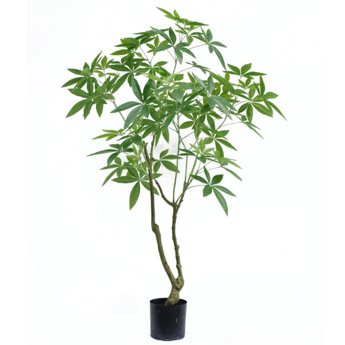 Realistic 150cm Artificial Money Tree Pachira - Lifelike Faux Greenery Decor - plants - express.com