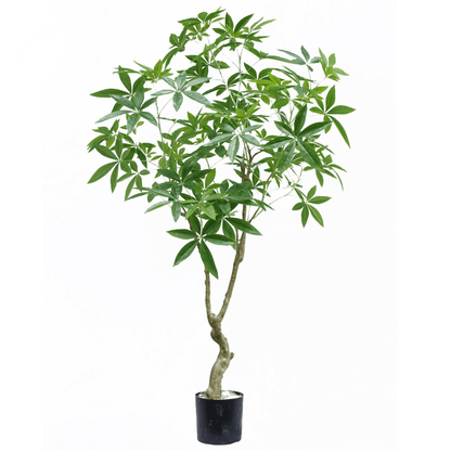 Realistic 180cm Artificial Money Tree Pachira - Lifelike Décor for Home & Office - plants - express.com