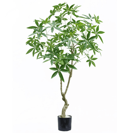 Realistic 180cm Artificial Money Tree Pachira - Lifelike Décor for Home & Office - plants - express.com