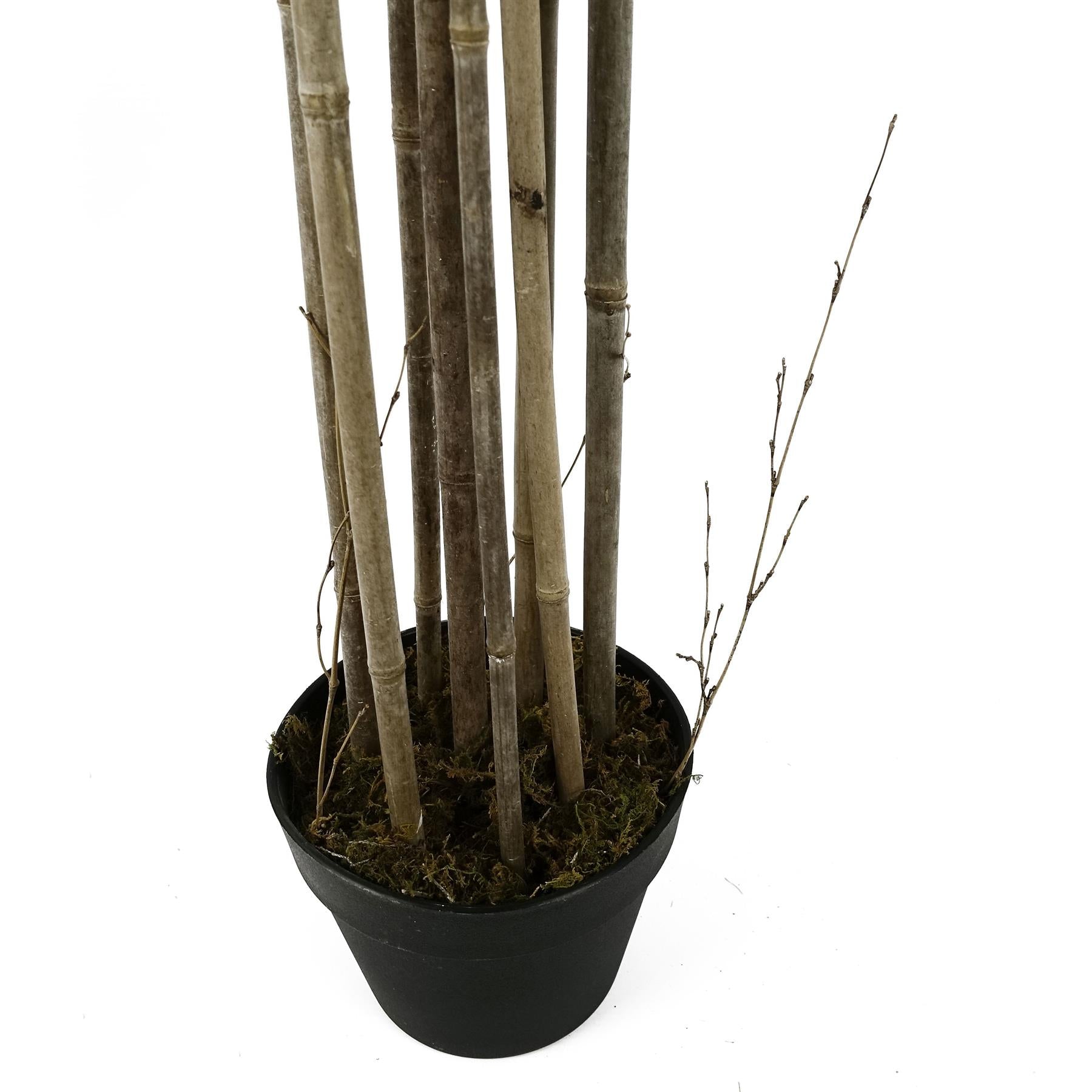 Realistic 180cm Faux Bamboo Tree for Stunning Home or Office Decor - plants - express.com