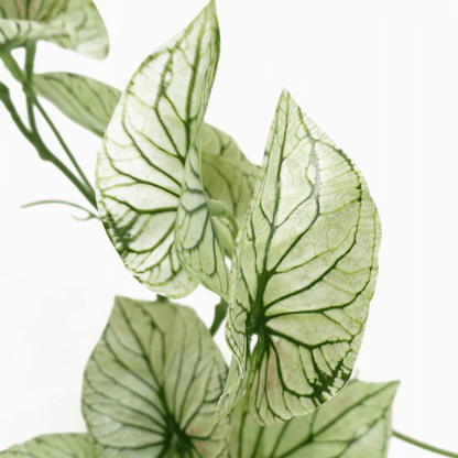 Realistic 30cm Faux Alocasia Plant in Elegant White Decorative Pot - plants - express.com