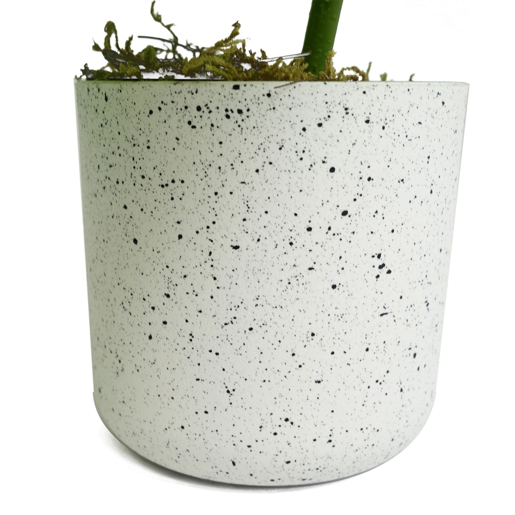 Realistic 30cm Potted Monstera Plant - No Maintenance, Perfect Indoor Decor! - plants - express.com