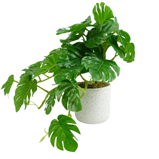 Realistic 30cm Potted Monstera Plant - No Maintenance, Perfect Indoor Decor! - plants - express.com