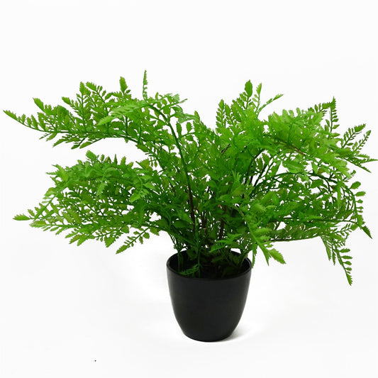 Realistic 30cm Southern Wood Fern in Black Pot - Lush Home Décor Accent - plants - express.com