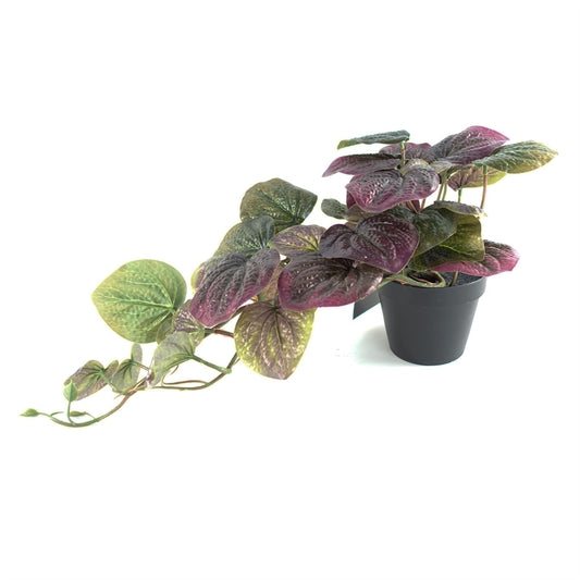 Realistic 35cm Artificial Trailing Purple Pothos - Ready to Display! - plants - express.com