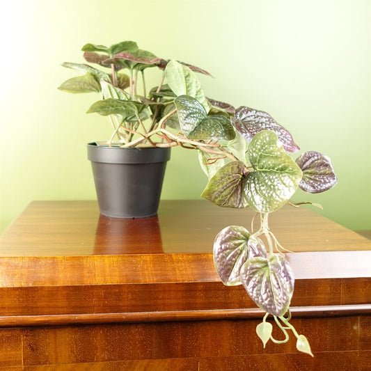 Realistic 35cm Purple Pothos Plant in Pot - Lush Trailing Beauty - plants - express.com