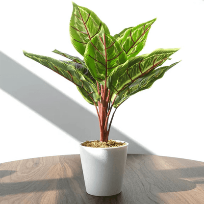 Realistic 38cm Artificial Calathea Veitchiane - Hassle - Free Greenery - plants - express.com