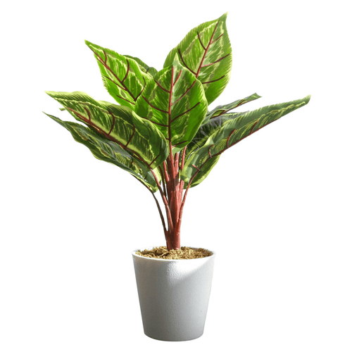 Realistic 38cm Artificial Calathea Veitchiane - Hassle - Free Greenery - plants - express.com