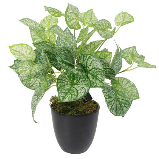 Realistic 40cm Artificial Caladium Plant in Weighted Decorative Pot - plants - express.com