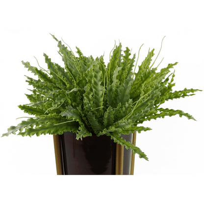 Realistic 40cm Artificial Crocodile Fern - Perfect Low - Light Decor! - plants - express.com