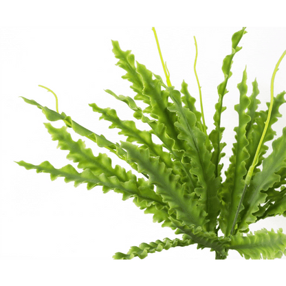 Realistic 40cm Artificial Crocodile Fern - Perfect Low - Light Decor! - plants - express.com