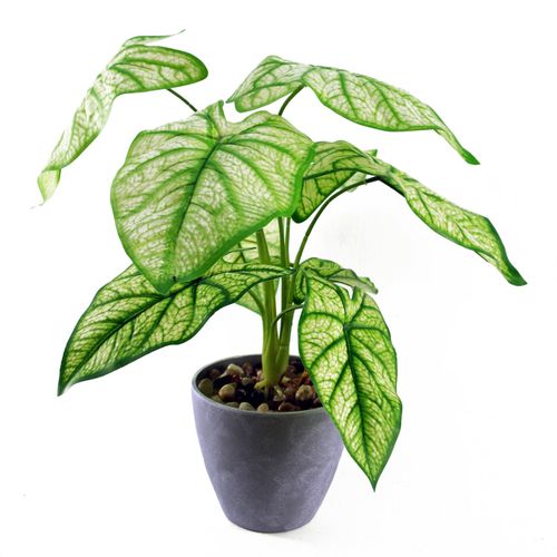Realistic 40cm Artificial Taro Plant in Stylish Grey Decorative Planter - plants - express.com