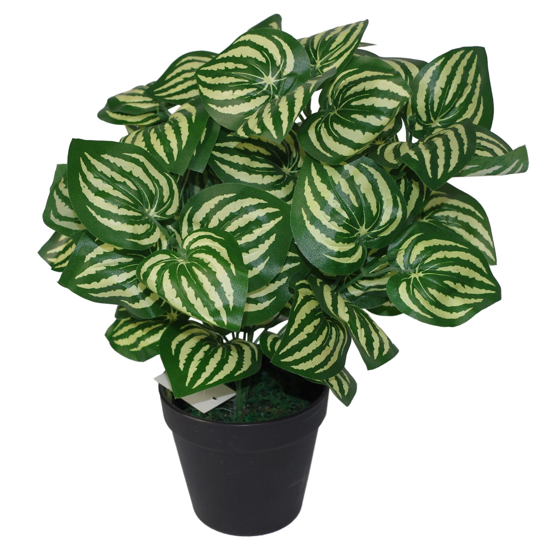 Realistic 40cm Watermelon Leaf Plant - Lush & Low - Maintenance Decor - plants - express.com