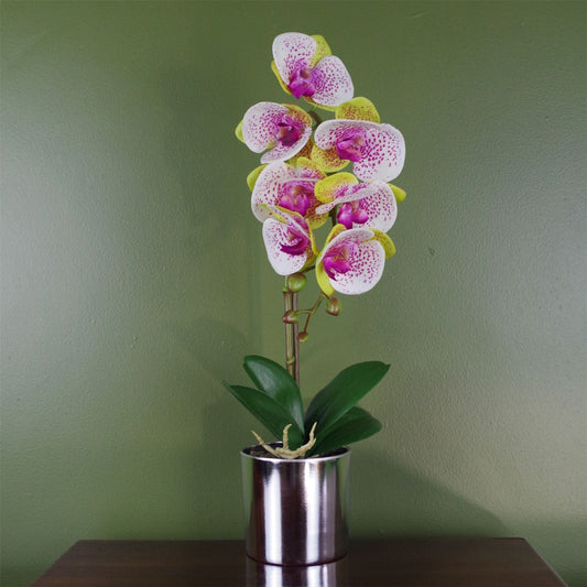 Realistic 46cm Harlequin Pink Orchid in Elegant Silver Pot - plants - express.com