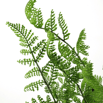 Realistic 50cm Dark Green Southern Wood Fern Bush - No Maintenance Required! - plants - express.com