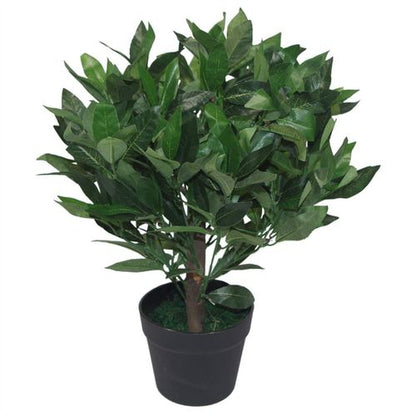 Realistic 50cm Dwarf Bay Tree Topiary Bushes - Perfect for Effortless Elegance! - plants - express.com