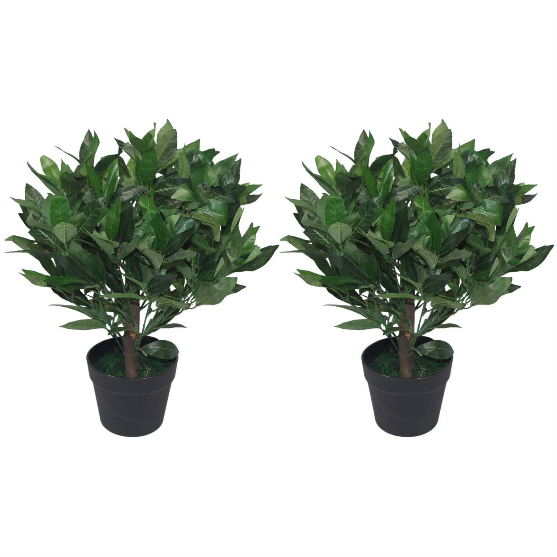 Realistic 50cm Dwarf Bay Tree Topiary Bushes - Perfect for Effortless Elegance! - plants - express.com