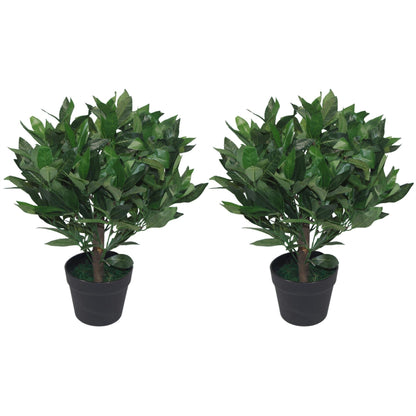 Realistic 50cm Dwarf Bay Tree Topiary Bushes - Perfect for Effortless Elegance! - plants - express.com