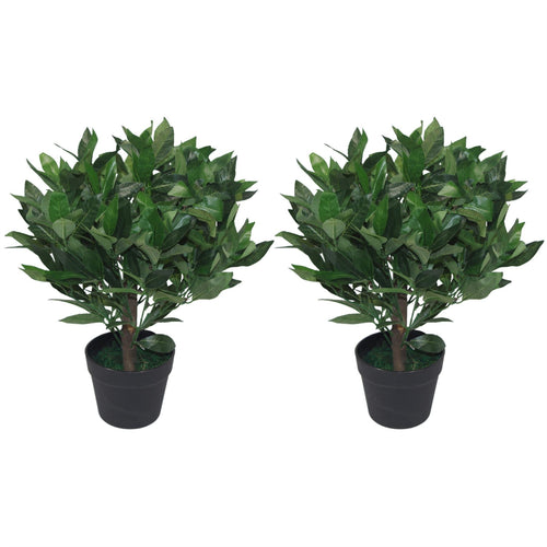 Realistic 50cm Dwarf Bay Tree Topiary Bushes - Perfect for Effortless Elegance! - plants - express.com