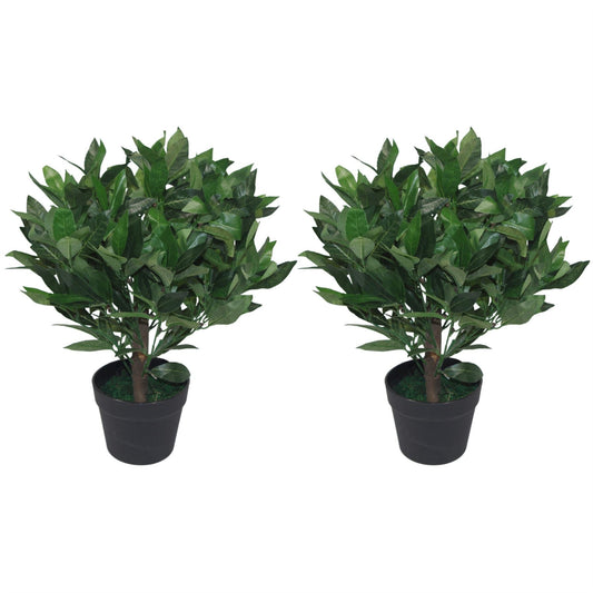 Realistic 50cm Dwarf Bay Tree Topiary Bushes - Perfect for Effortless Elegance! - plants - express.com