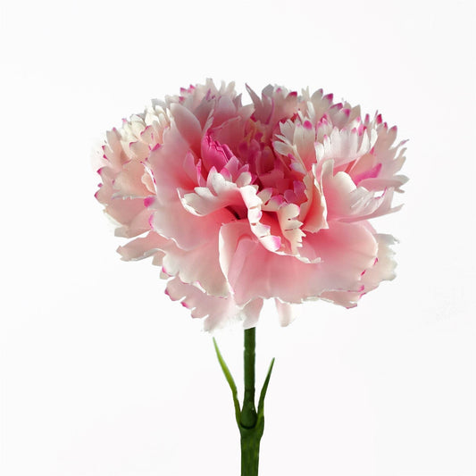 Realistic 50cm Pink Carnation - Stunning Artificial Flower for Any Arrangement! - plants - express.com