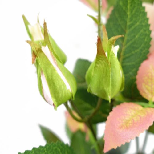 Realistic 50cm Pink Rose Plant - No Maintenance, Ready to Display! - plants - express.com