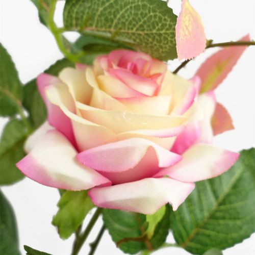 Realistic 50cm Pink Rose Plant - No Maintenance, Ready to Display! - plants - express.com