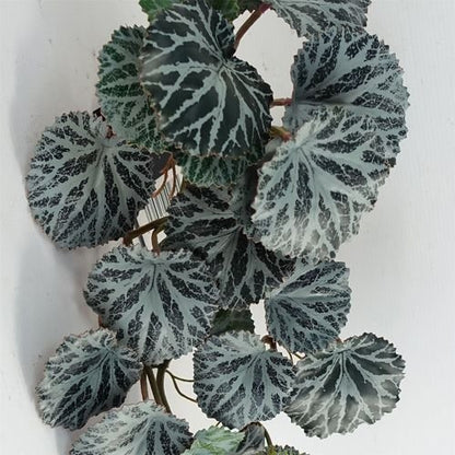 Realistic 50cm Trailing Begonia Plant – Perfect for Stylish Displays! - plants - express.com