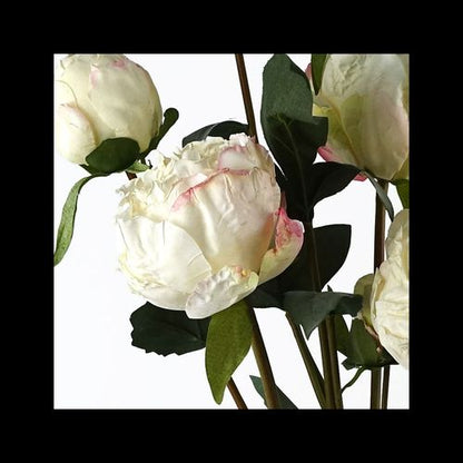 Realistic 55cm Cream Peony Spray - 4 Lush Flowers & 3 Buds for Gorgeous Bouquets - plants - express.com
