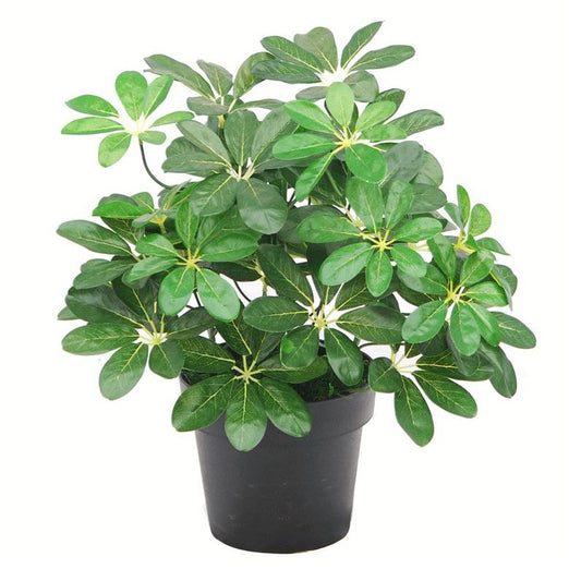 Realistic 55cm Dark Green Artificial Dwarf Umbrella Tree - Perfect Home Decor - plants - express.com