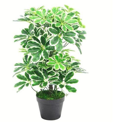 Realistic 55cm Variegated Schefflera Arboricola - Safe & Stylish Décor! - plants - express.com
