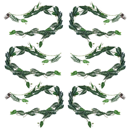 Realistic 6 - Pack 180cm Amazonica Trailing Plants for Stunning Indoor Décor - plants - express.com