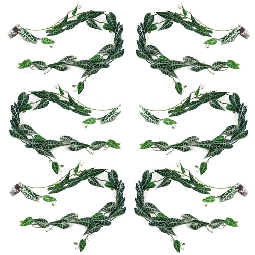 Realistic 6 - Pack 180cm Amazonica Trailing Plants for Stunning Indoor Décor - plants - express.com