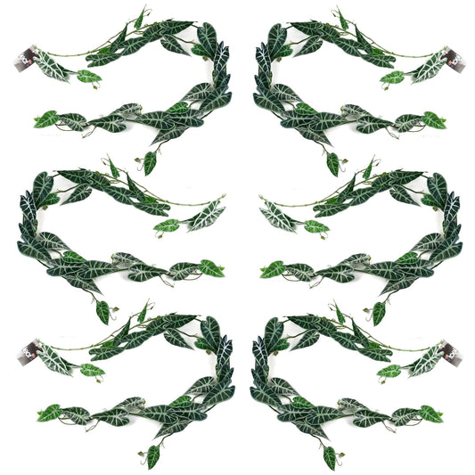Realistic 6 - Pack 180cm Amazonica Trailing Plants for Stunning Indoor Décor - plants - express.com