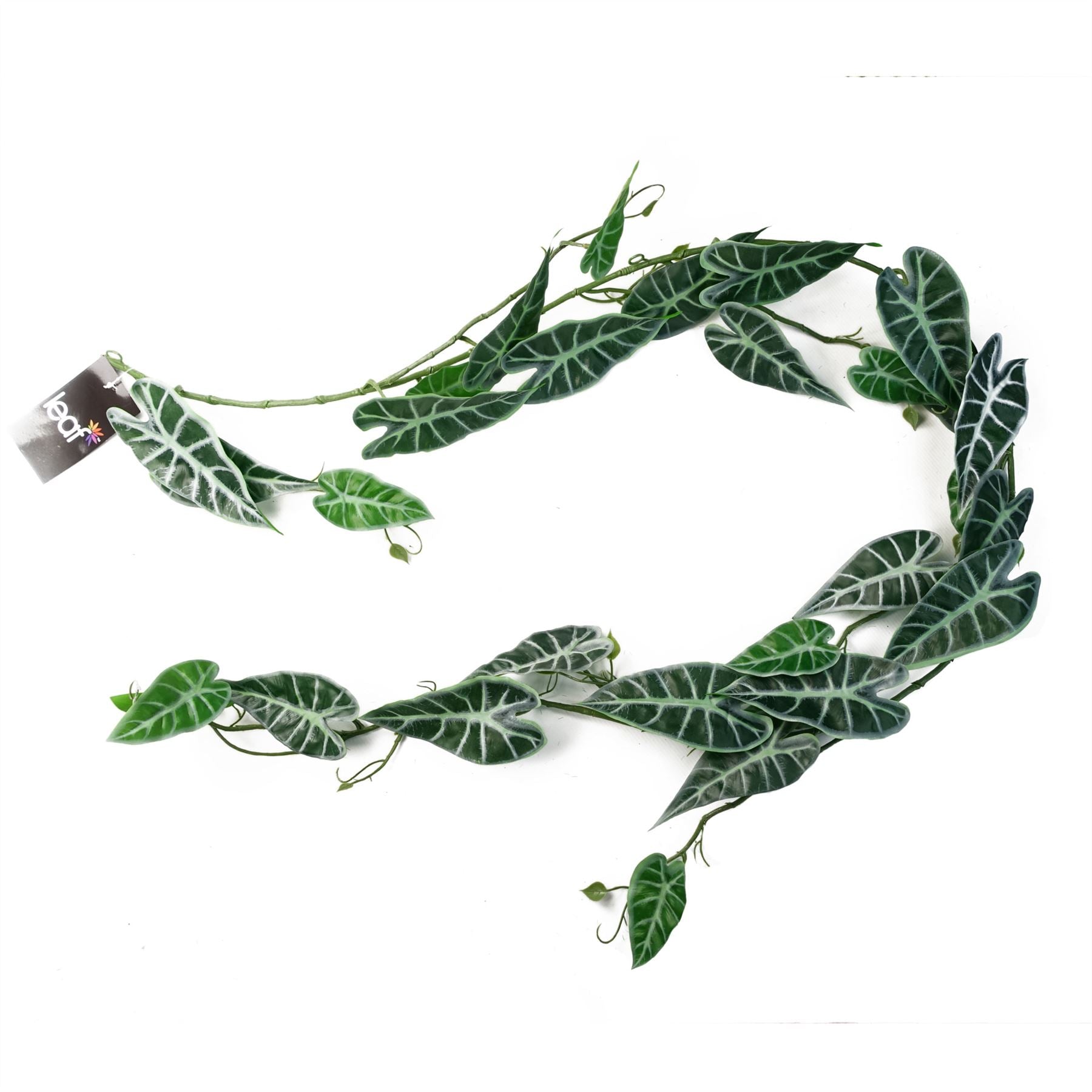 Realistic 6 - Pack 180cm Amazonica Trailing Plants for Stunning Indoor Décor - plants - express.com