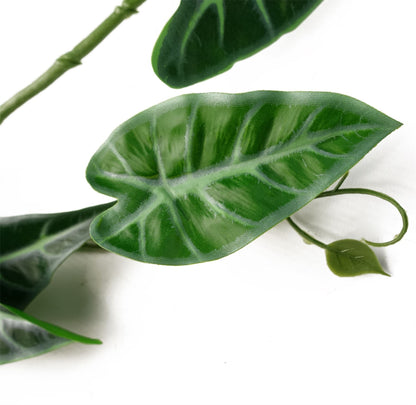 Realistic 6 - Pack 180cm Amazonica Trailing Plants for Stunning Indoor Décor - plants - express.com