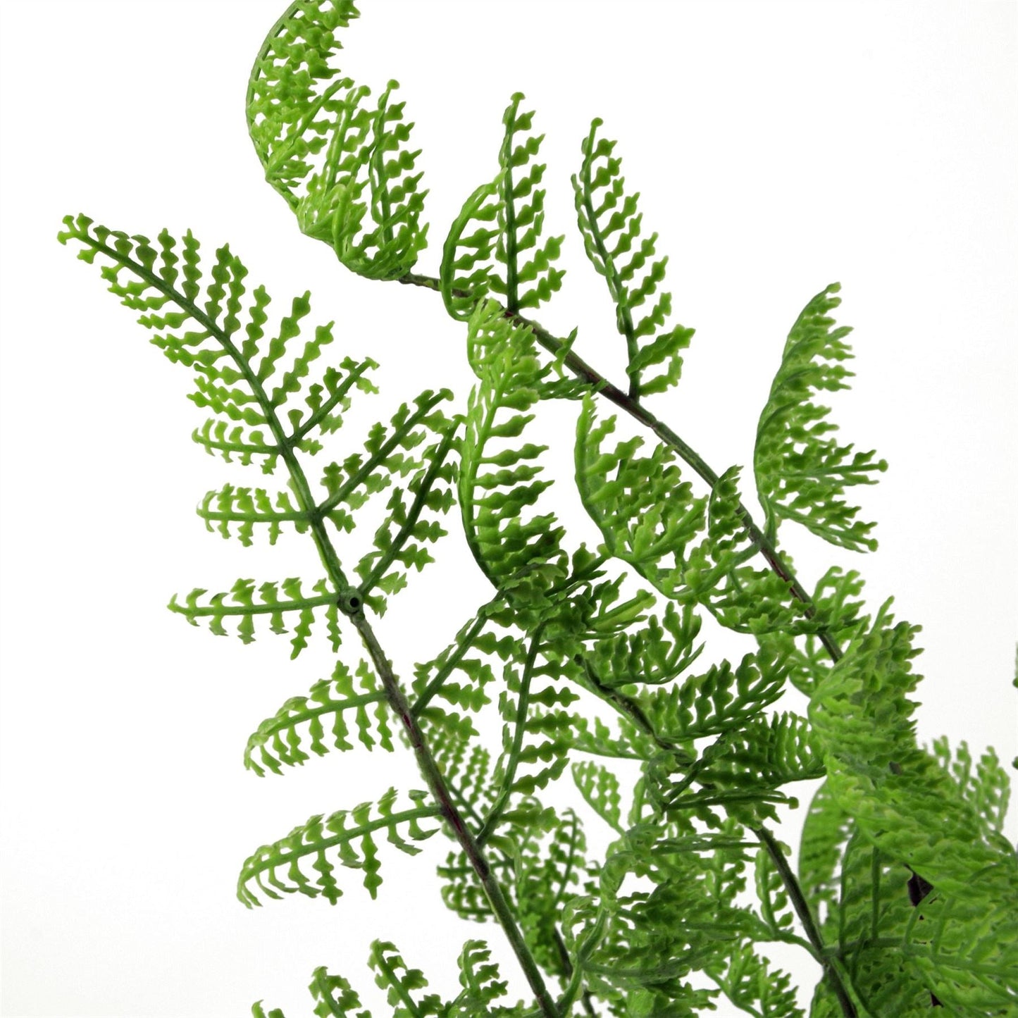 Realistic 6 - Pack Southern Wood Fern Bush - Lush Dark Green Décor - plants - express.com