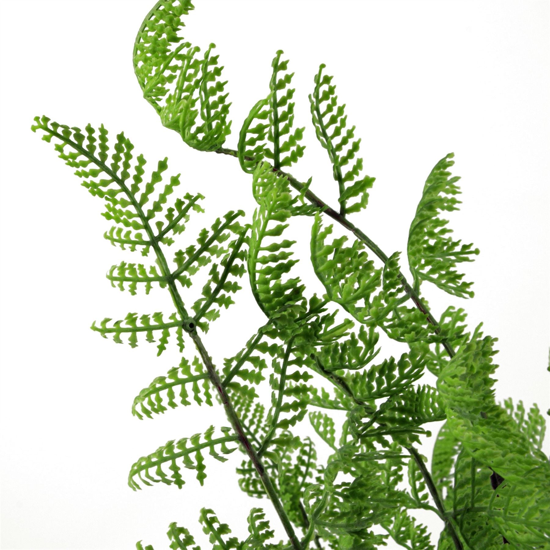 Realistic 6 - Pack Southern Wood Fern Bush - Lush Dark Green Décor - plants - express.com