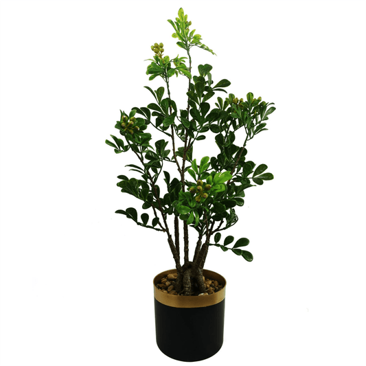 Realistic 60cm Artificial Bonsai Ficus Tree - Elegant Home Decor Accent - plants - express.com