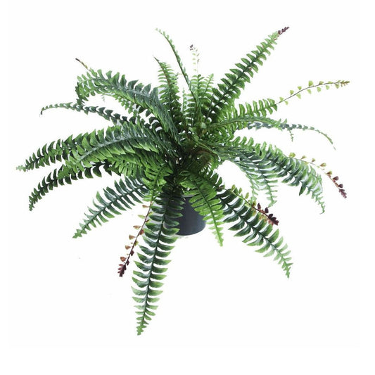 Realistic 60cm Artificial Boston Fern - Lush Greenery Without Maintenance! - plants - express.com
